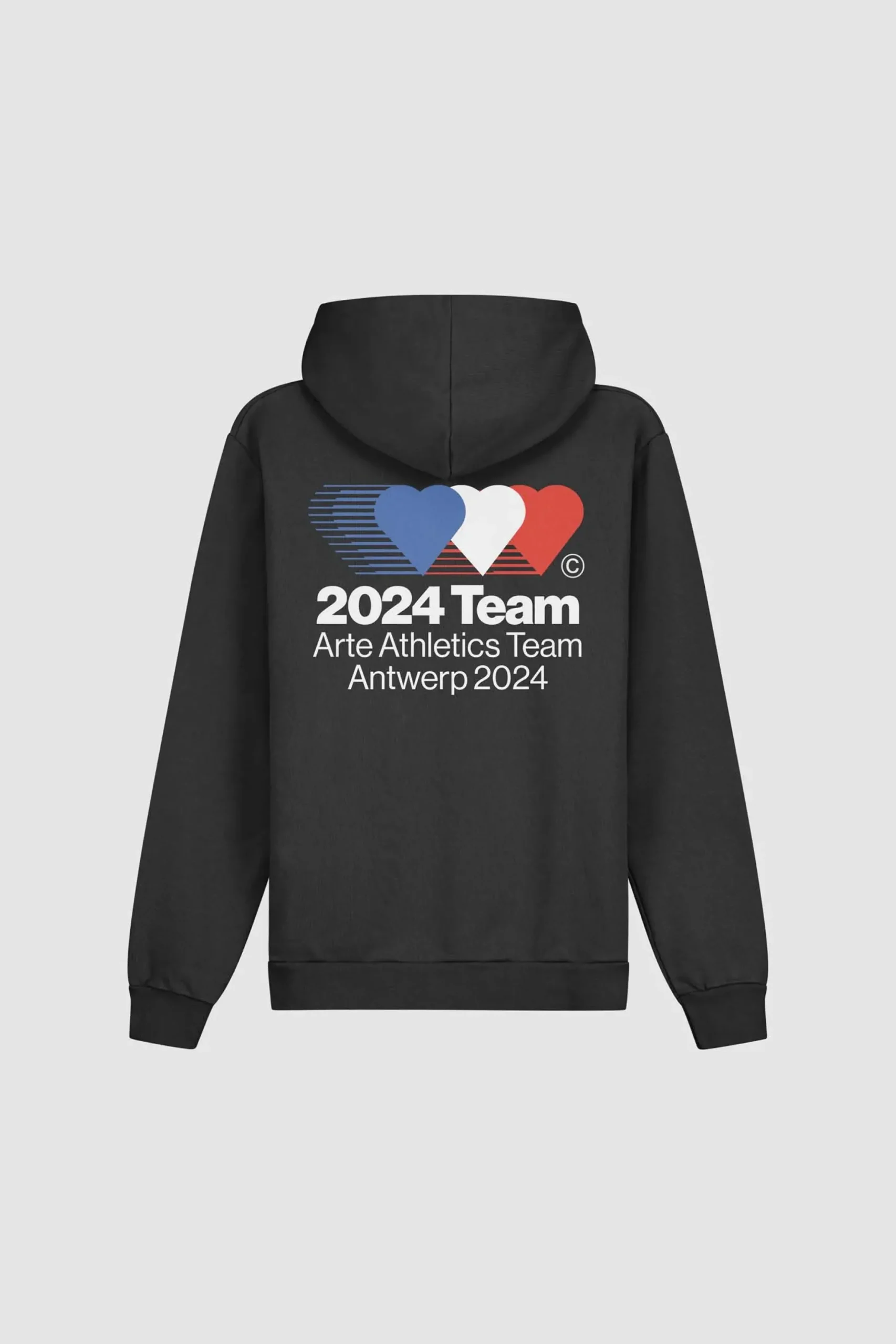 Hank Back Team Hoodie|Arte Antwerp Online